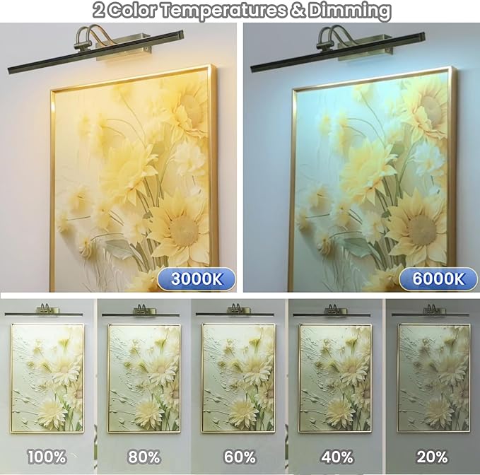 FUNCHDAY Wireless Picture Light, 2 Colors Wall Lights for Pictures Frame, 5000mAh Rechargeable Battery Art Lighting for Paintings, Dimming Timing Gallery Artwork Light (Antique Brass)