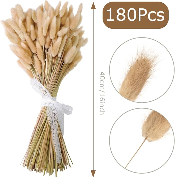 180 PCS Bunny Tails Dried Pampas Grass Decor, 17'' Brown Pampas Grass, Natural Rabbit Tail Dried Flowers, Dried Pampas Grass Brown Florals for Boho Wedding, Baby Birthday Party, Christmas, Halloween