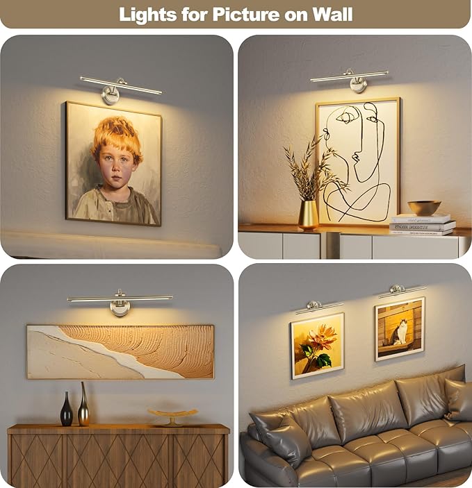 Hardwired Picture Light,24 Inch Dimmable Art Light for Paintings,14W,3000K Warm White,Antique Bronze Rotatable Picture Frame Lights for Wall Art,Gallery,Portrait,Dartboard,Mirror