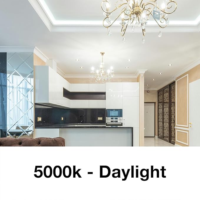 DAYBETTER B11 Chandelier Bulbs, Dimmable E12 LED 60W Equivalent, Candelabra 600 LM Daylight White 5000K, Filament Candle Light, Clear Glass, 24 Pack