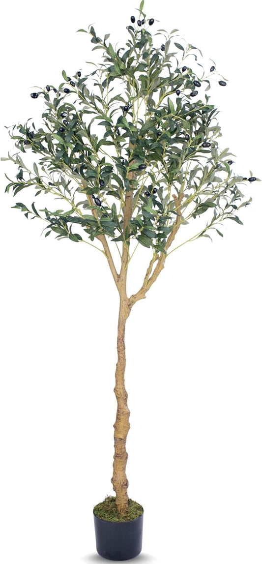 Artificial Olive Tree - 6ft Realistic Artificial Plants Indoor Decor - Elegant Faux Olive Tree for Living Room, Bedroom, Bathroom, Office - Tall Fake Potted Plants with Moss Base for Chic Home Décor