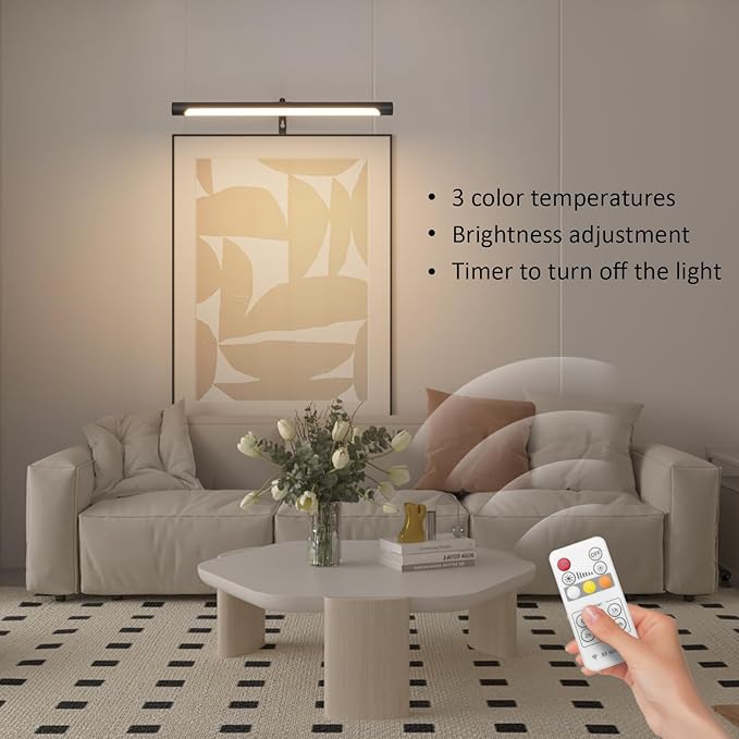 Picture Lights for Paintings Plug in, 16" Adjustable LED Picture Light Art Light with Timer, Remote Control Gallery Painting Wall Light for Picture Display Frame Dartboard Art Work (Black)