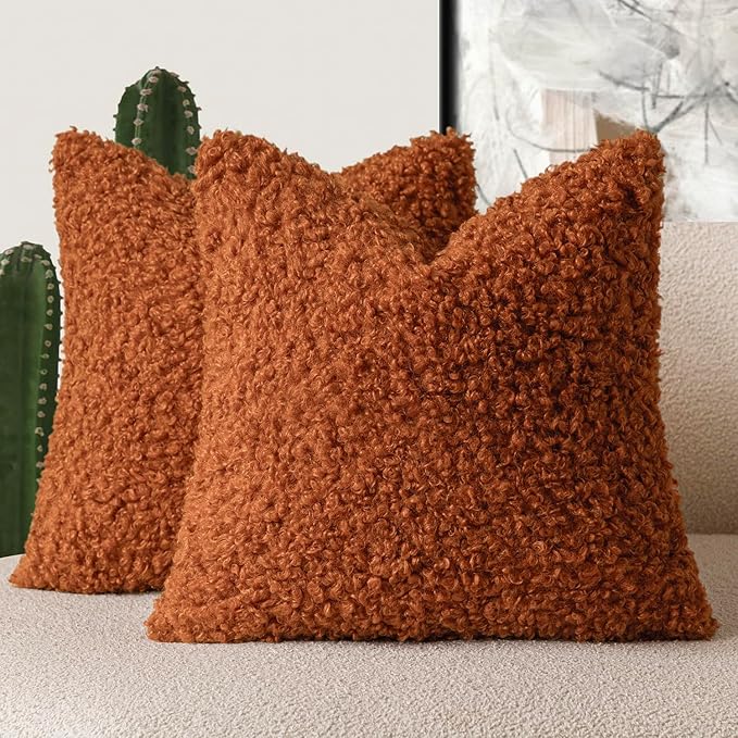Foindtower 2 Pieces 24x24 Inch Burnt Orange, Faux Fur Throw Pillow Cover Accent Sherpa Furry Pillow Cover Fuzzy Soft Pillowcases Cozy Sheepskin Decorative Fleece Cushion Case for Bed Couch Living Room