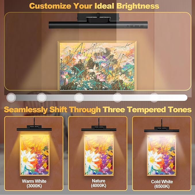 Dimmable Cordless Picture Light with Controller and Timer, Rechargeable Battery Wall Sconce for Wall Pictures, Gallery Artwork, Paintings, Portraits, Dartboards (Black)