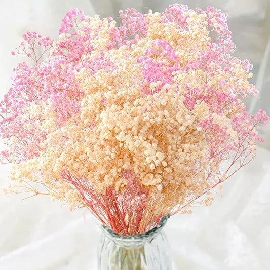 2000+ Dried Pink White Babys Breath Flowers -17'' Baby's Breath Bulk Bouquet, Real Natural Dried Gypsophila Flowers for Resin, Home Vase Decor, Card DIY, Party, Wedding Flower Wreaths