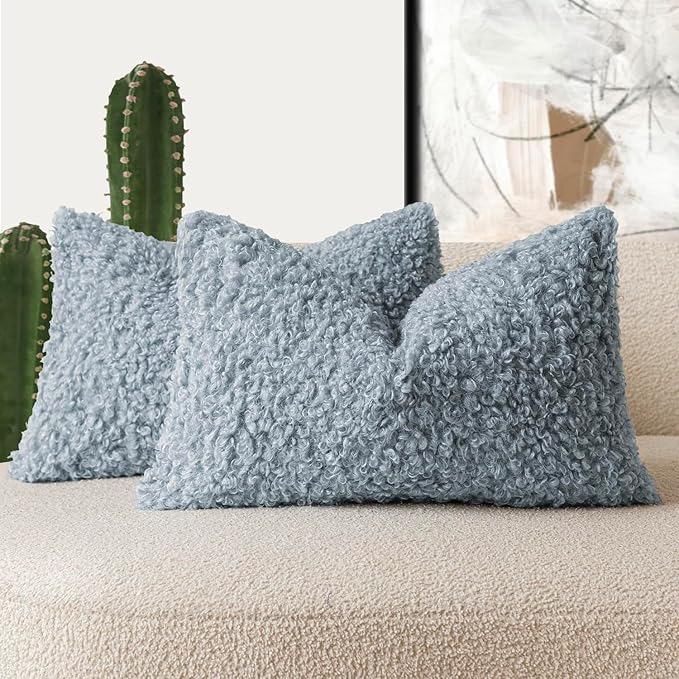 Foindtower Set of 2 Curly Teddy Wool Pillow Covers Decorative Boucle Textured Lumbar Throw Pillow Faux Fur Sherpa Pillowcases Sheepskin Fuzzy Cushion Case for Sofa Bedroom Car 12"x20" Misty Blue
