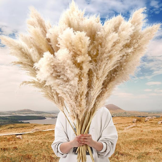 20 Stems 32 Inch Fluffy Pampas Grass Decor Tall Natural Dried Flowers Bouquet for Boho Home Decorations, Large Phragmites for Floor Vase, Wedding Floral Arrangements, Farmhouse