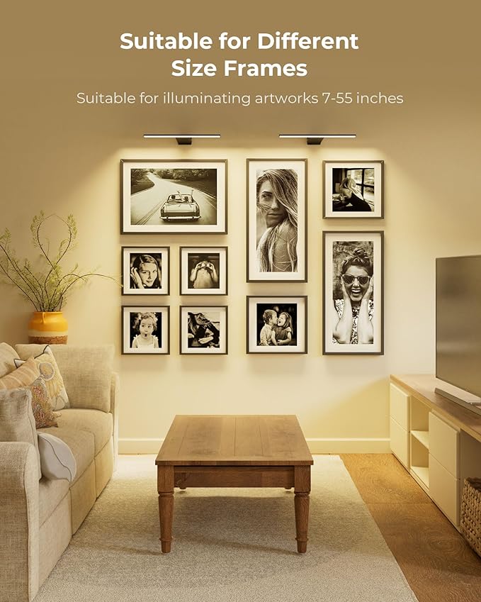 Rechargeable 12000mAh Picture Lights for Wall with Remote, 3 Color Temps, Dimmable, Timer, for Gallery Poster Frame Painting Photo Art Display (Black, 2 Pack)