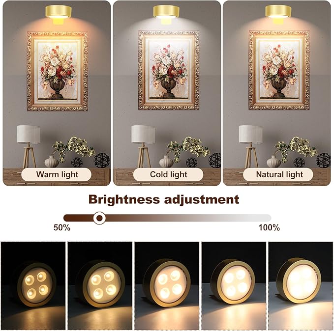 TTQ 4 PCS Magnetic Picture Lights for Wall Battery Operated,Wall Painting Light with Wireless Control,Art Display Light,Wall Decor Puck Lights for Picture Frame Portrait Artworking