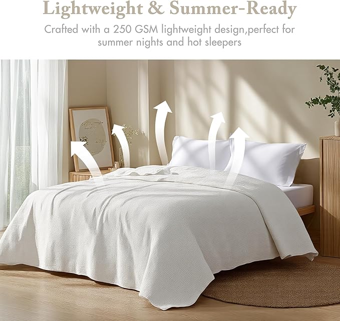 Madison Park Freshspun Basketweave Luxury Cotton Blanket Cream 66x90" Twin Size Basketweave Premium Soft Cozy 100% Cotton For Bed, Couch or Sofa