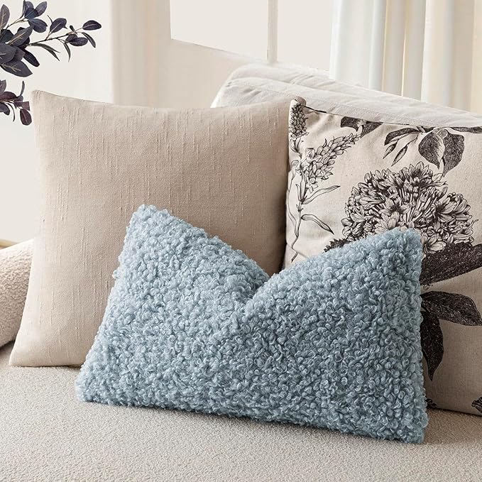 Foindtower Set of 2 Curly Teddy Wool Pillow Covers Decorative Boucle Textured Lumbar Throw Pillow Faux Fur Sherpa Pillowcases Sheepskin Fuzzy Cushion Case for Sofa Bedroom Car 12"x20" Misty Blue