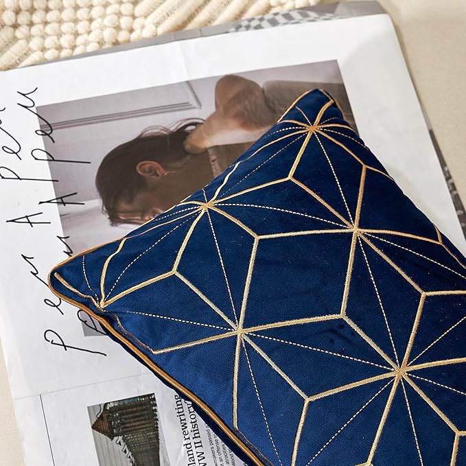 Aeckself 12 x 20 Inch Navy Blue Gold Plaid Geometric Lines Embroidery Velvet Cushion Case Luxury Modern Rectangular Throw Pillow Cover Decorative Pillow for Couch Living Room Bedroom Car