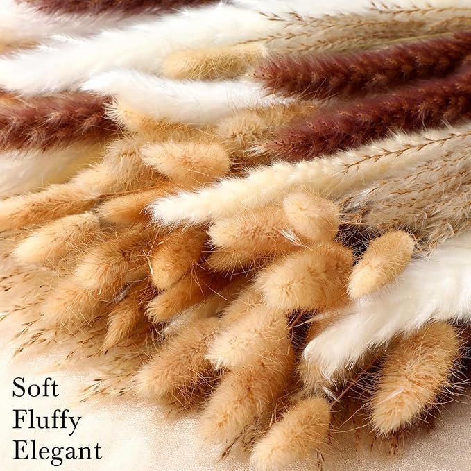 Treela 650 Pcs Dried Pampas Grass Decor Bulk 17" Dried Bunny Tail Fluffy Pompous Pampas Natural Reed Grass Bouquet Wedding Boho Dried Flowers for Home Table Party Decor(Classic)